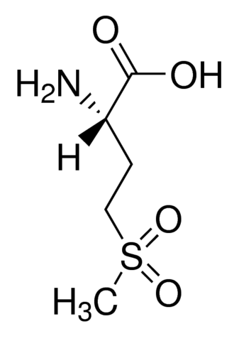 L Methionine Sulfone M G Sigma Aldrich Sls