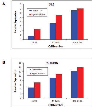 Genelute Single Cell Rna Purification Kit Sigma