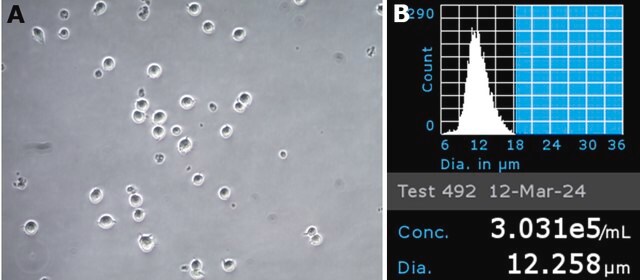 Jurkat Je Nf Kb Egfp Htlr Human Toll Like Receptor Cell Line