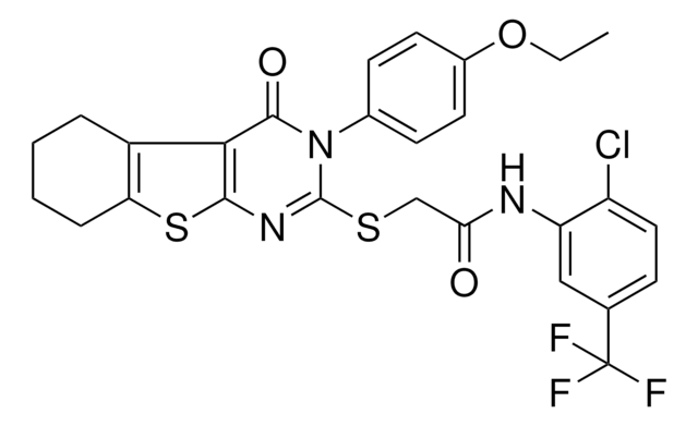 N 2 CHLORO 5 TRIFLUOROMETHYL PHENYL 2 3 4 ETHOXYPHENYL 4 OXO 3 4