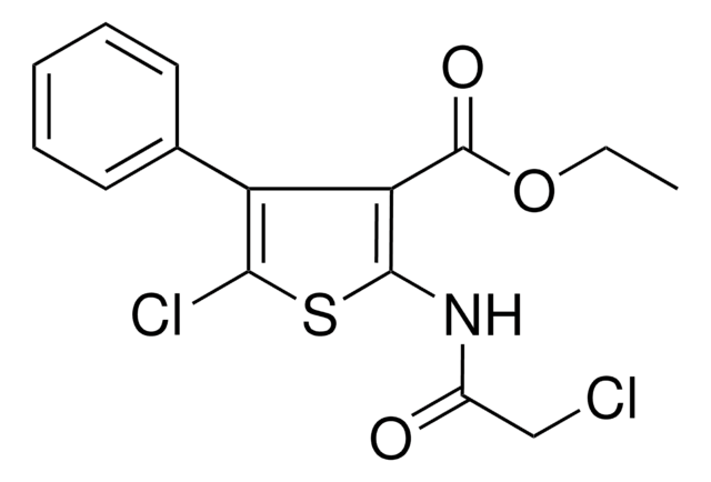 5 CL 2 2 CHLORO ACETYLAMINO 4 PHENYL THIOPHENE 3 CARBOXYLIC ACID