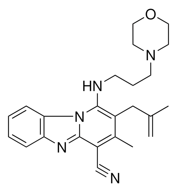 3 METHYL 2 2 METHYL 2 PROPENYL 1 3 4 MORPHOLINYL PROPYL AMINO