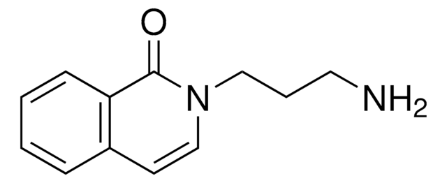 2 3 Aminopropyl 1 2H Isoquinolinone