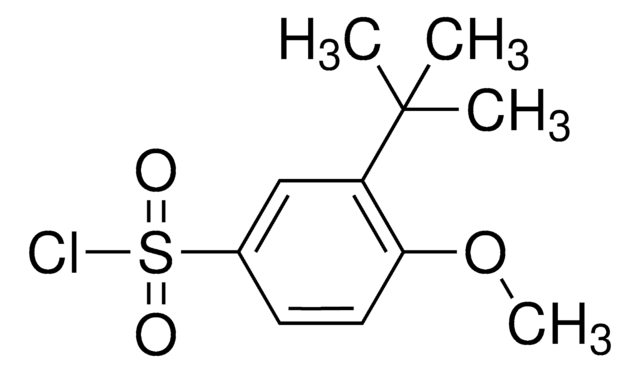 Tert Butyl Methoxybenzenesulfonyl Chloride Aldrichcpr