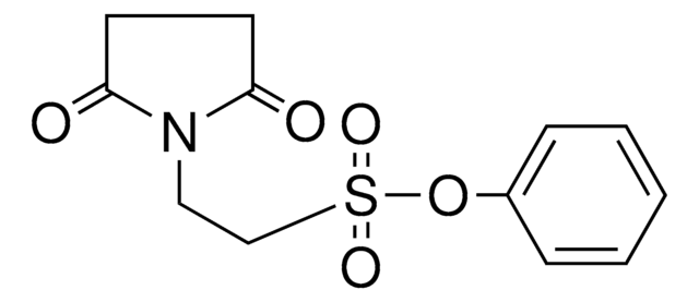 2 2 5 DIOXO PYRROLIDIN 1 YL ETHANESULFONIC ACID PHENYL ESTER