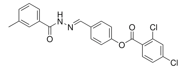 4 2 3 METHYLBENZOYL CARBOHYDRAZONOYL PHENYL 2 4 DICHLOROBENZOATE