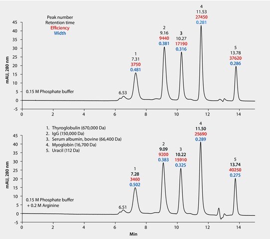 HPLC Analysis Of Protein Standards On Zenix SEC 300 By Size Exclusion