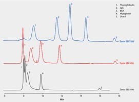 Hplc Analysis Of Medium Mw Protein Standards By Size Exclusion On Zenix