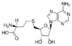 S 5 Adenosyl L Homocysteine Crystalline 979 92 0