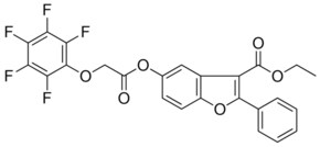 1 1 DIMETHYL 3 2 2 2 TRICHLORO 1 4 METHOXY 2 NITRO PHENYLAMINO ETHYL