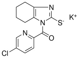 POTASSIUM 1 5 CHLORO 2 PYRIDINYL CARBONYL 4 5 6 7 TETRAHYDRO 1H