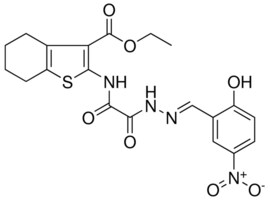 ETHYL 2 2E 2 2 HYDROXY 5 NITROBENZYLIDENE HYDRAZINO OXO ACETYL