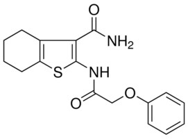 Phenoxy Acetylamino H Benzo B Thiophene Carboxylic