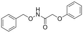 N BENZYLOXY 2 PHENOXY ACETAMIDE AldrichCPR Sigma Aldrich