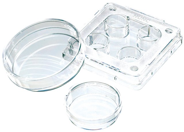 Nunc® IVF multidish non-treated, 4 well dish, 1.9 cm2/well, 120/cs ...