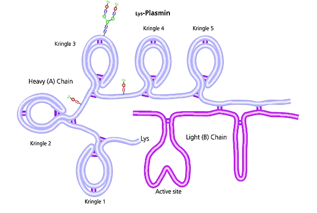 Plasmin from human plasma, lyo | P1867-750UG | SIGMA-ALDRICH | SLS