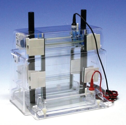 Vertical electrophoresis unit, adjustable height, dual gel gel W × H 16 ...