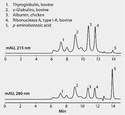 HPLC Analysis of Sigma Protein Standard Mix on Zenix® SEC-300 | Sigma ...