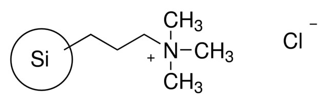 3-(Trimethylammonium)propyl-functionalized silica gel, chloride 200-400 ...