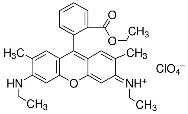 Rhodamine 6G Dye Content 99 % | 13161-28-9 | Sigma-Aldrich