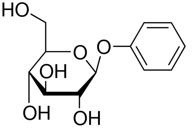 Phenyl β-D-glucopyranoside 97 % | 1464-44-4 | Sigma-Aldrich