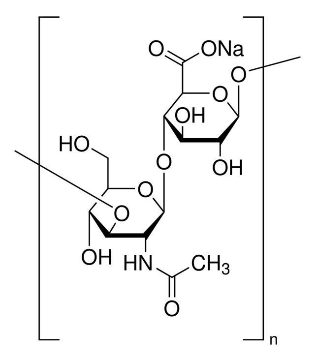 Hyaluronic acid sodium salt fr | 53747-1G | SIGMA-ALDRICH | SLS