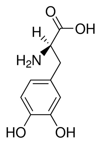 3,4-Dihydroxy-D-phenylalanine powder, >= 95 % | 5796-17-8 | Sigma-Aldrich