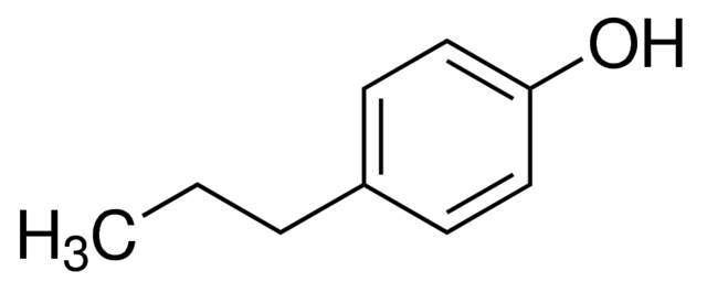 4-Propylphenol, 99% | P53802-5G | SIGMA-ALDRICH | SLS