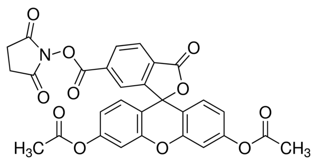 6-Carboxy-fluorescein diacetat | 08951-5MG-F | SIGMA-ALDRICH | SLS