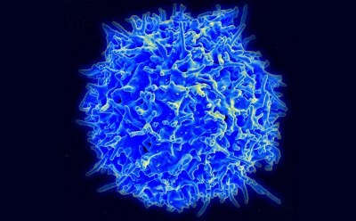 3D image of cell blue