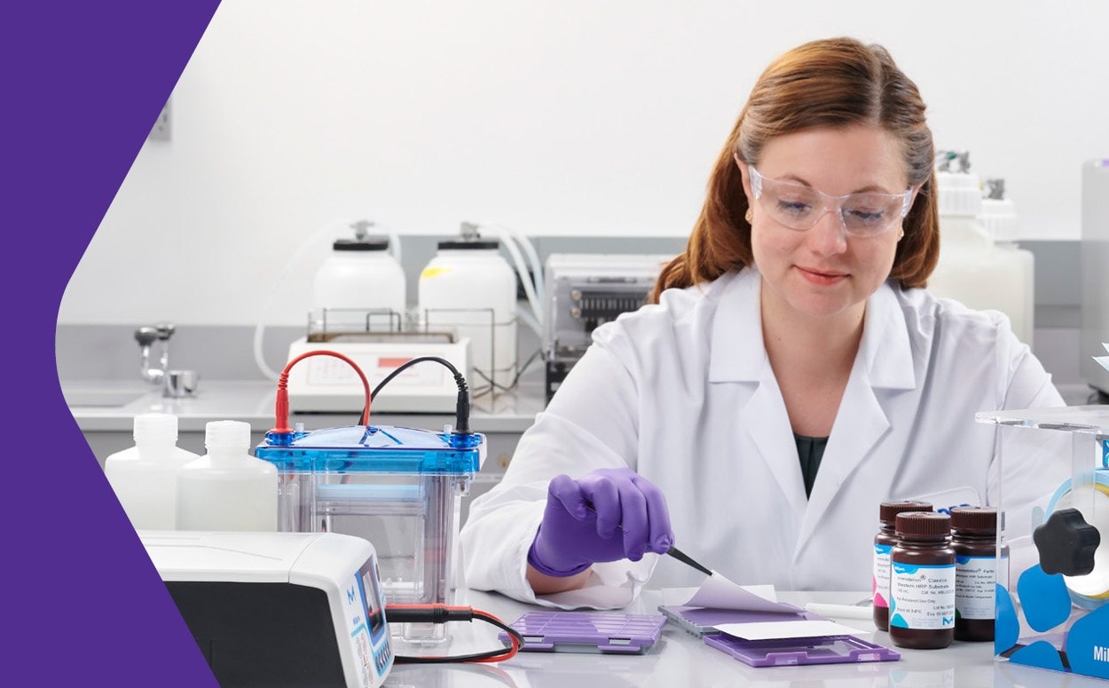 A lab worker at a lab table.