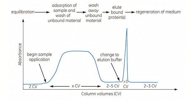 Graphique illustrant les principales étapes d&apos;une séparation par chromatographie d&apos;affinité impliquant des étapes de fixation, de lavage et d&apos;élution.