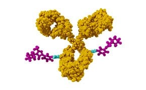 Illustration depicting antibody-drug conjugate (ADC) used to deliver highly active pharmaceutical ingredients