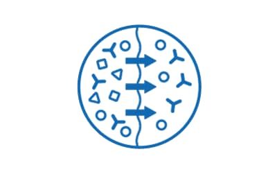 The image shows a circular setup with various shapes inside, including circles, triangles, and Y-shaped figures. Arrows are depicted moving tangentially around the perimeter of the circle, representing the flow of molecules across a filter membrane.