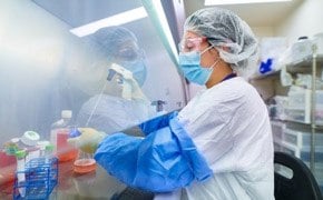 Operator handling a pipette to develop cells. 