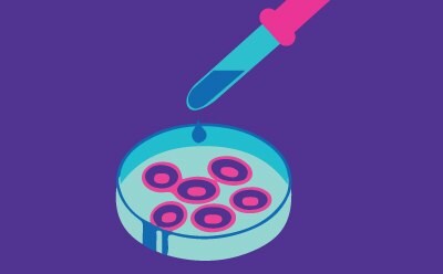 Microbiological analysis and product testing to ensure the safety of cultured meat products. This involves rigorous testing and analysis for the presence of foodborne pathogens and microbial contamination. Quality control measures are implemented to maintain high standards of safety throughout the production process, ensuring safety consumption of the cultured meat products.