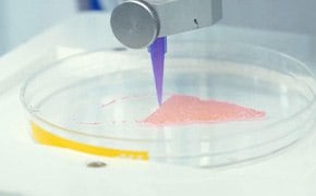 Eine Nahaufnahme zeigt die Verwendung von TissueFab®-Biotinten aus einem Portfolio biokompatibler Materialien f&uuml;r das 3D-Bioprinting, wobei eine D&uuml;se eine rosafarbene Biotinte auf eine Oberfl&auml;che f&uuml;r Gewebetechnik-Anwendungen auftr&auml;gt.