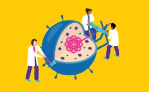 Scientists breaking open the cell membrane and breaking apart the unwanted DNA into smaller fragments to release the DNA that is needed inside.