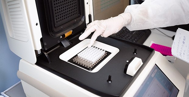 DNA being placed into the PCR thermal cycler or amplifier for PCR diagnostics.