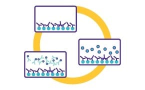 drawings of washing /blocking step in lateral flow assay