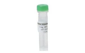 PreScission protease (PSC) from TriAltus™