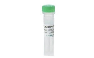 Sumo protease from TriAltus™