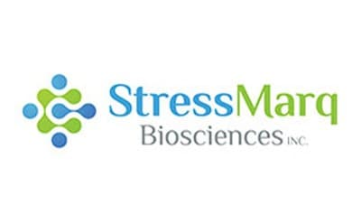 Green and blue StressMarq logo