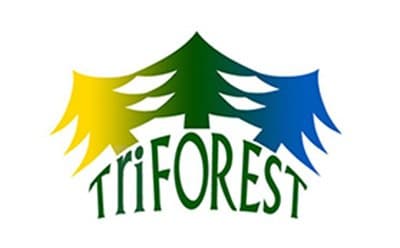 TriForest logo in yellow, blue and green