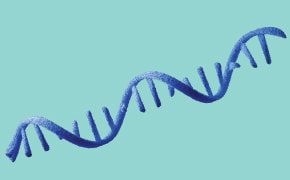 A stylized blue DNA strand with a smooth, wavy shape against a light green background.