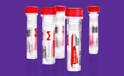 Antibody vials with red caps, representing lyophilized products for ambient shipping, reducing packaging and emissions.