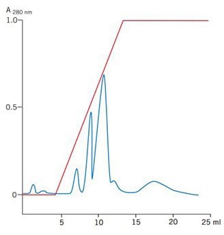  Puriﬁcation of egg white proteins