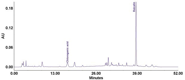 Separation of solvent blank on Purospher® STAR RP-18e column