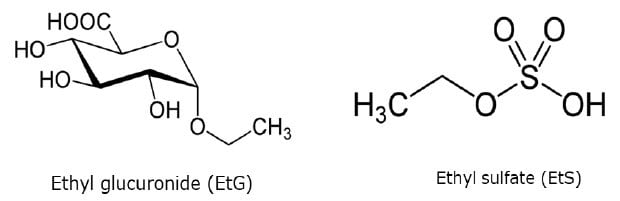 Structural formula of Ethyl glucuronide and Ethyl sulfate