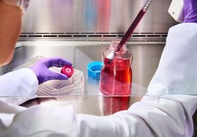 Lab setting with a person in a white coat and gloved hands using a pipette to transfer red liquid into a cell culture flask inside a safety containment area